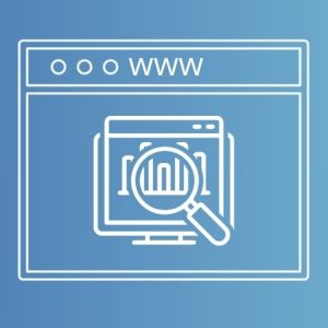 Wstępny audyt i przyjęcie strony internetowej pod opiekę